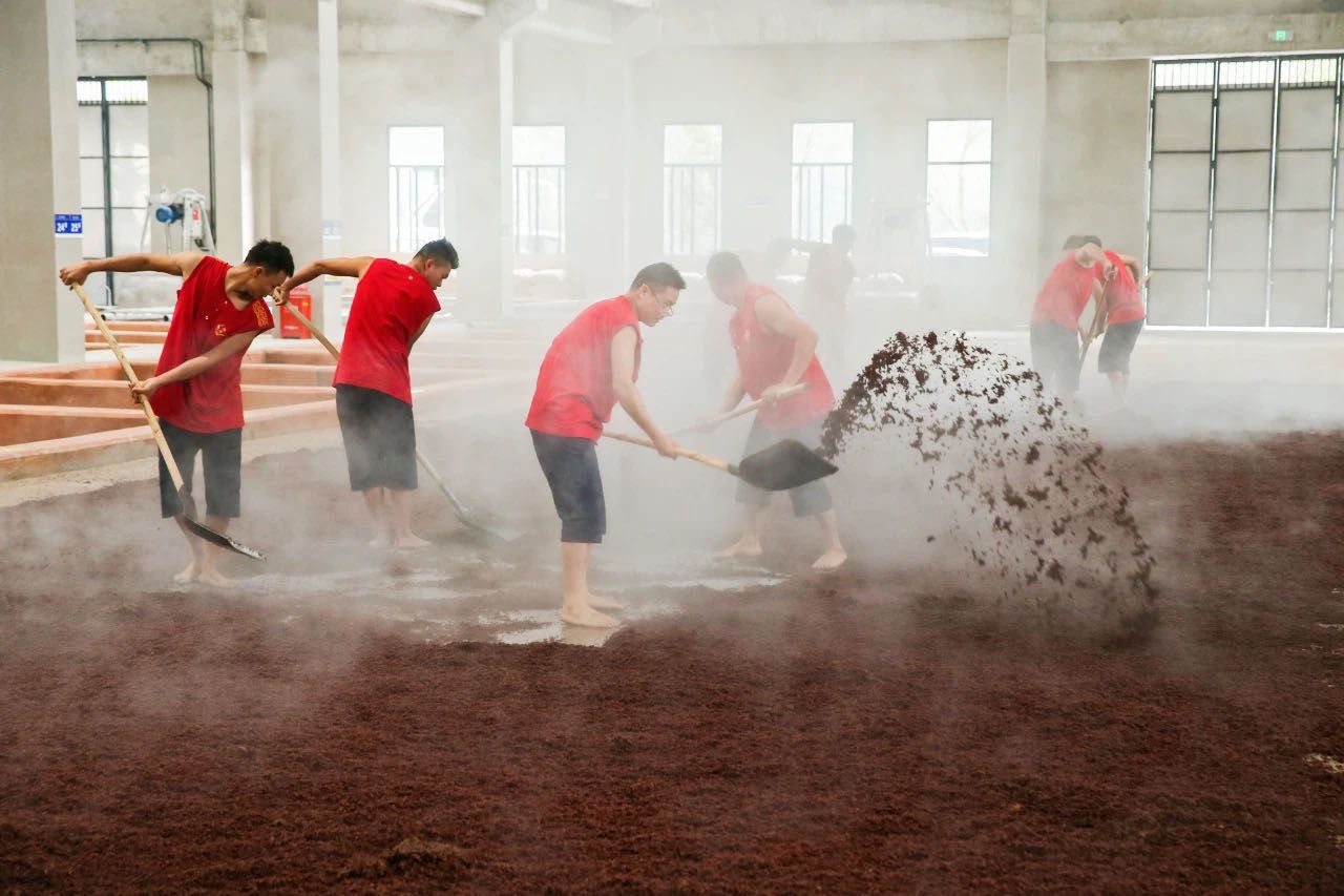 "重阳下沙"成行业热词,酱酒热潮下酒企掀起新一轮"文化战"