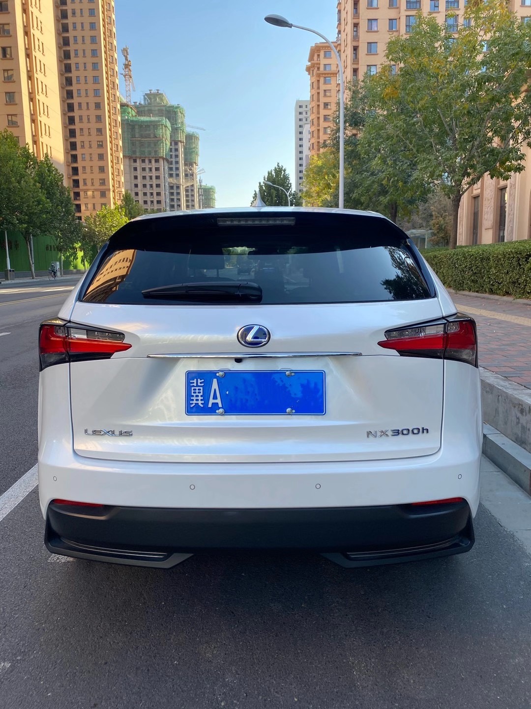 石家庄精品二手车16年雷克萨斯nx300 新浪汽车 石家庄精品二手车16年雷克萨斯nx300 新浪汽车