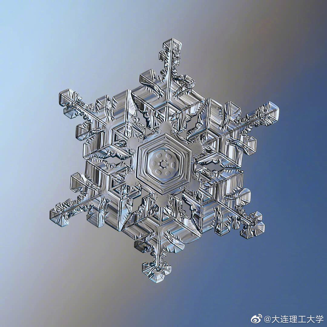 alexey kljatov镜头下的雪花,不得不感叹大自然的无限创造力!