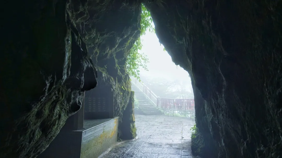 秋风浅雪下,那些隐藏在峨眉山深处的青翠