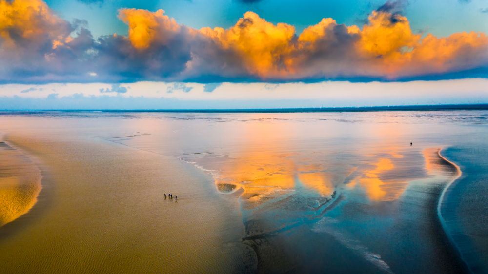 盐碱地上长出现代港城
