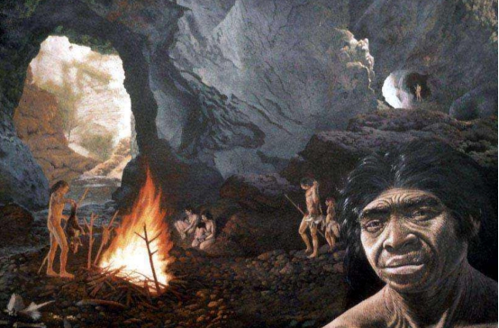 1500年前,马达加斯加的巨型动物突然灭绝,当时发生了什么?