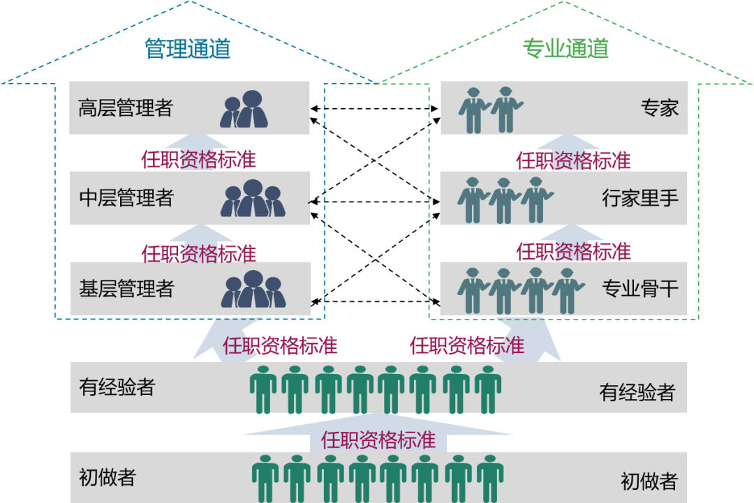 技术为目的,做好人才的选,用,育,留工作,拓宽人才职业发展路径而拟定