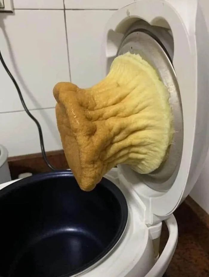 20个做饭的翻车现场,搞笑满分,食欲为零