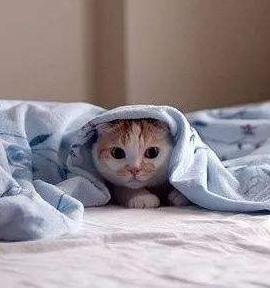 下雪天被窝太冷?