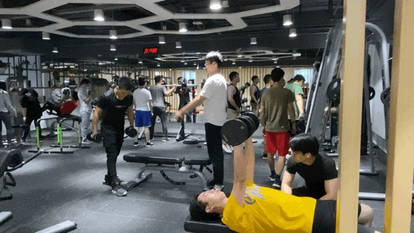 正在锻炼的蚂蚁员工