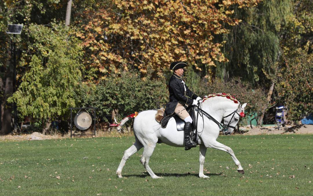 启动仪式上,骑手进行葡萄牙古典宫廷舞步表演.摄影/新京报记者 王飞