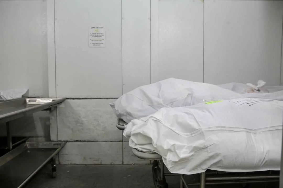 尸检|新冠|病理学_新浪新闻