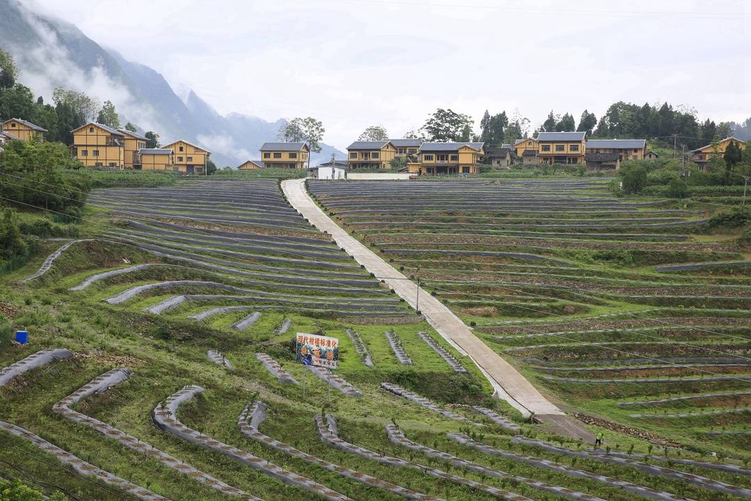 守护赤水河清水绿岸 四川:建立健全共保机制 境内赤水河干支流水质