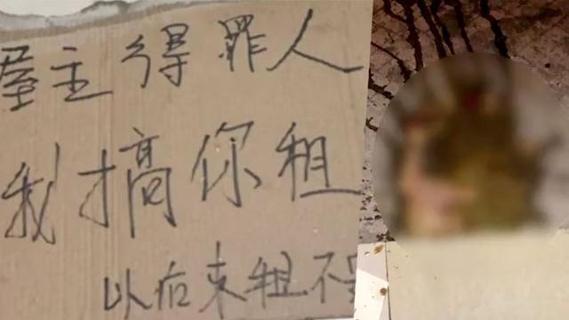 专挑饭点泼粪10多次！女子被抓称：他不卖我房，我怀恨在心