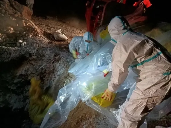 图片来源：宁南县农业农村局