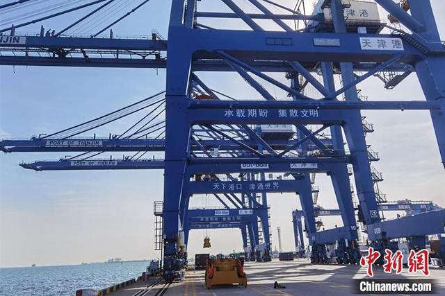 图为天津港码头岸桥.张楷欣 摄