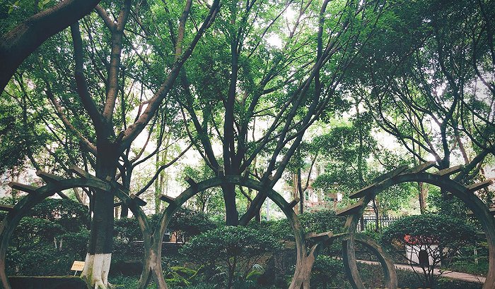 重庆美术公园开建九龙半岛越来越艺术
