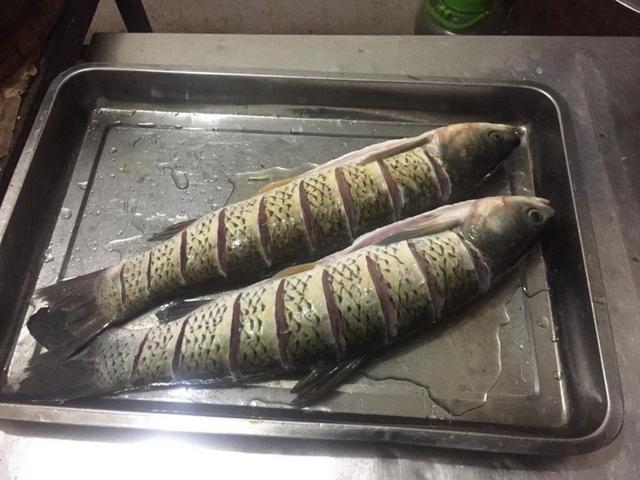 重庆特产传说（296）休闲区蓝鸢梦想 - Www.slyday.coM