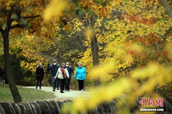 资料图：当地时间10月24日，加拿大多伦多，市民周末在市内一处公园漫步。 中新社记者 余瑞冬 摄