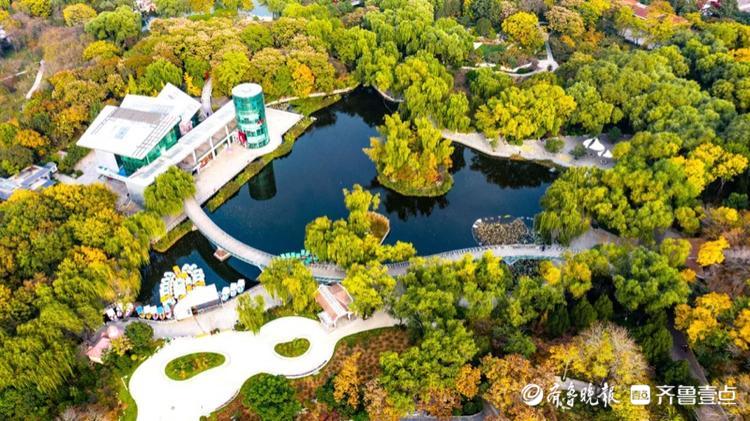 航拍泉城公园,秋色烂漫