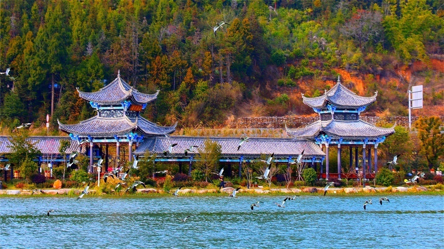 保山施甸,龙陵"美丽县城"创建取得阶段性成效