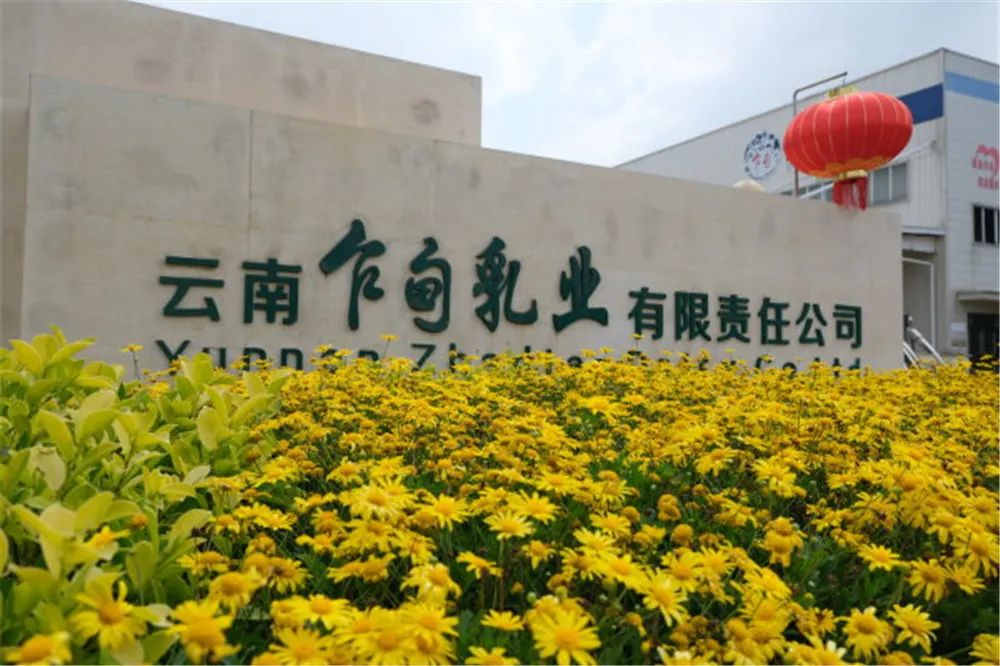 攻坚工作与企业发展紧密结合(以下简称乍甸乳业)云南乍甸乳业有限责