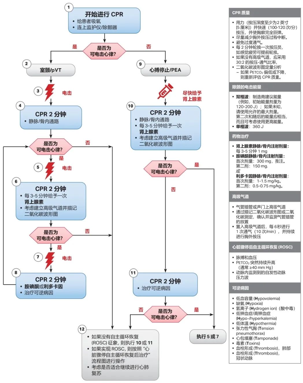 2020 AHA心肺复苏和心血管急救指南更新要点来啦~干货多多！