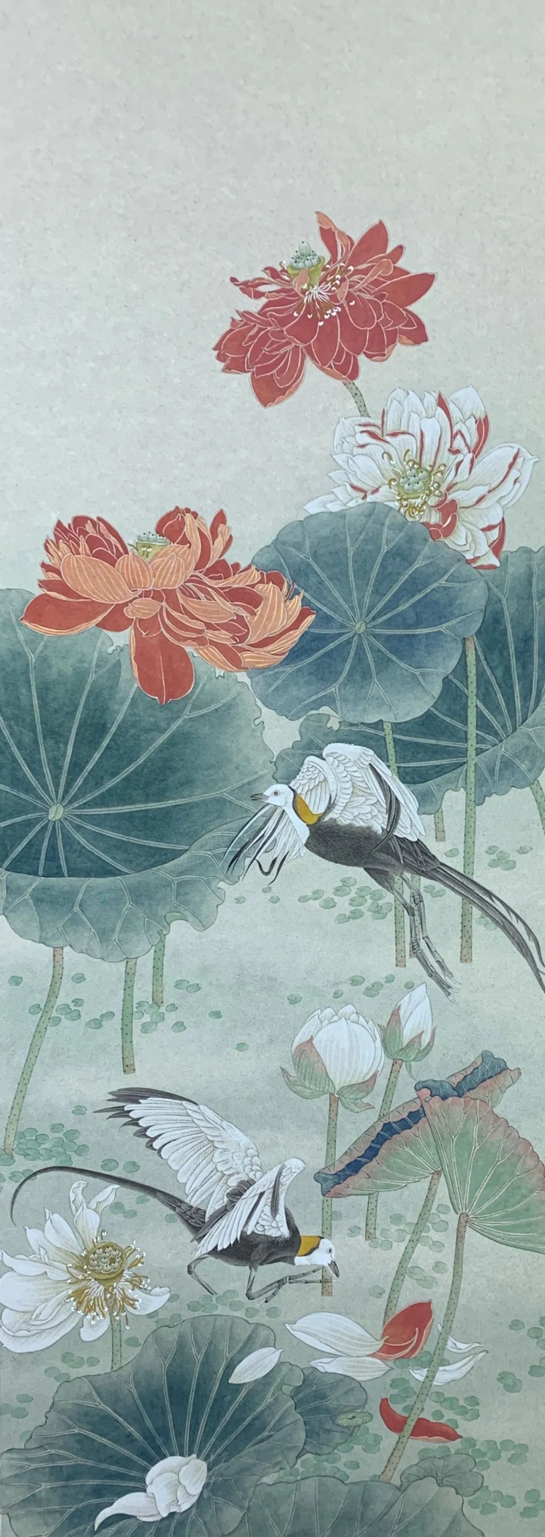 唯美新势力赵金生工笔花鸟画艺术鉴赏