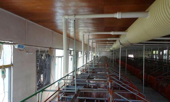 显得尤为重要|通风|保温|猪舍_新浪新闻