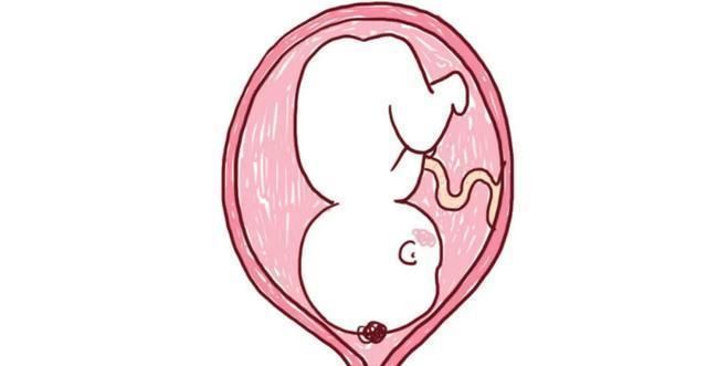 1   子宫底下降   在分娩前数周,因