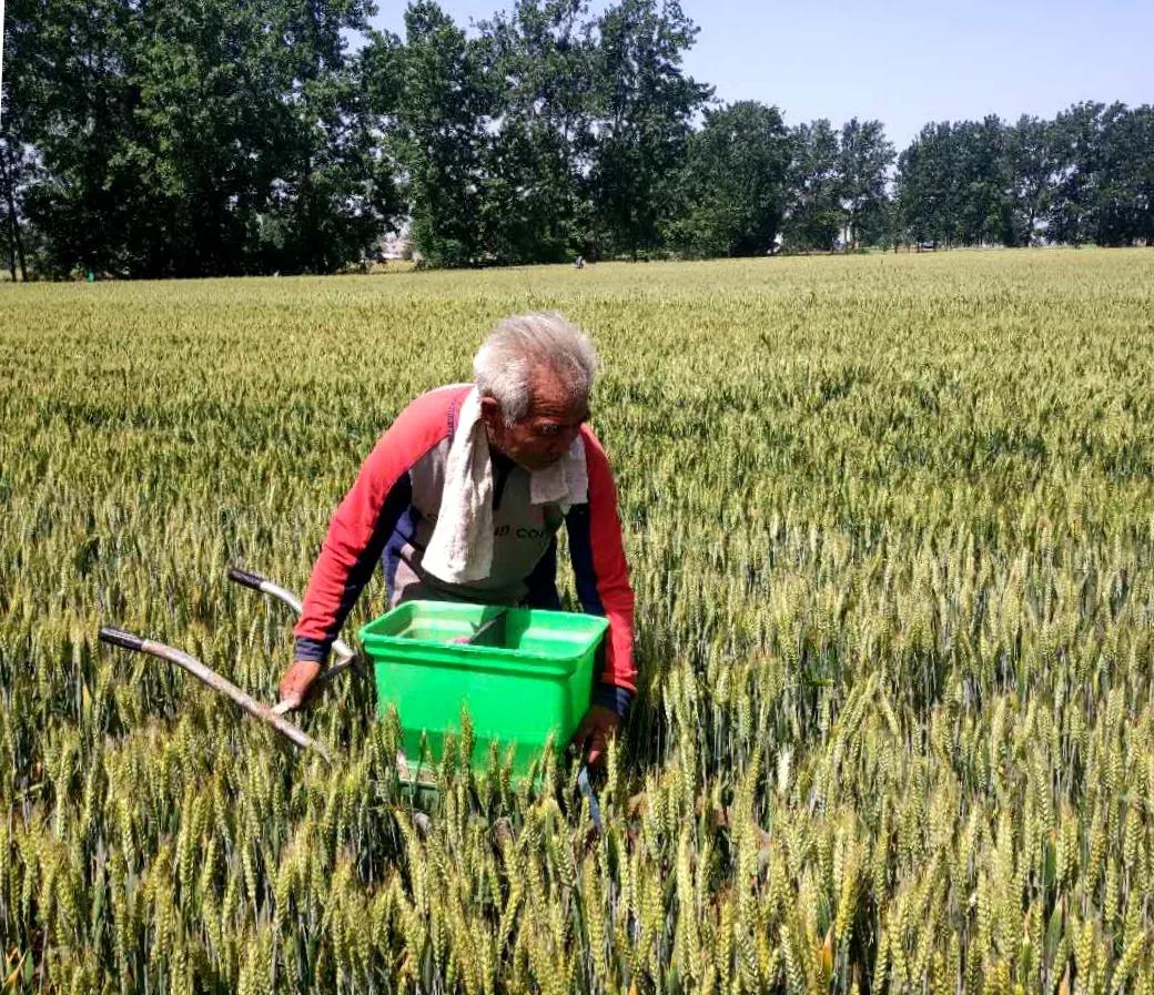 9亿农民高呼:政府我真的不想种地了!