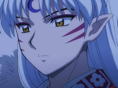 《半妖的夜叉姬》之后来的犬夜叉