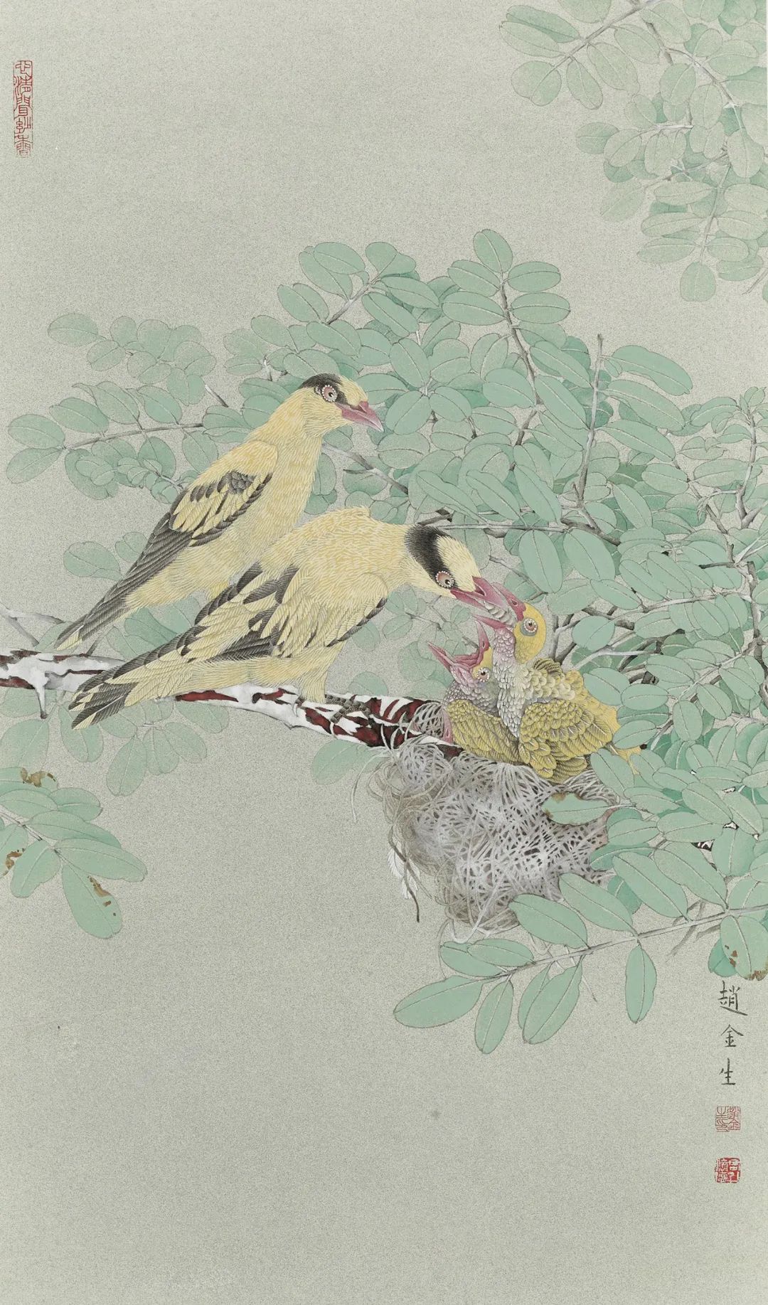 唯美新势力赵金生工笔花鸟画艺术鉴赏