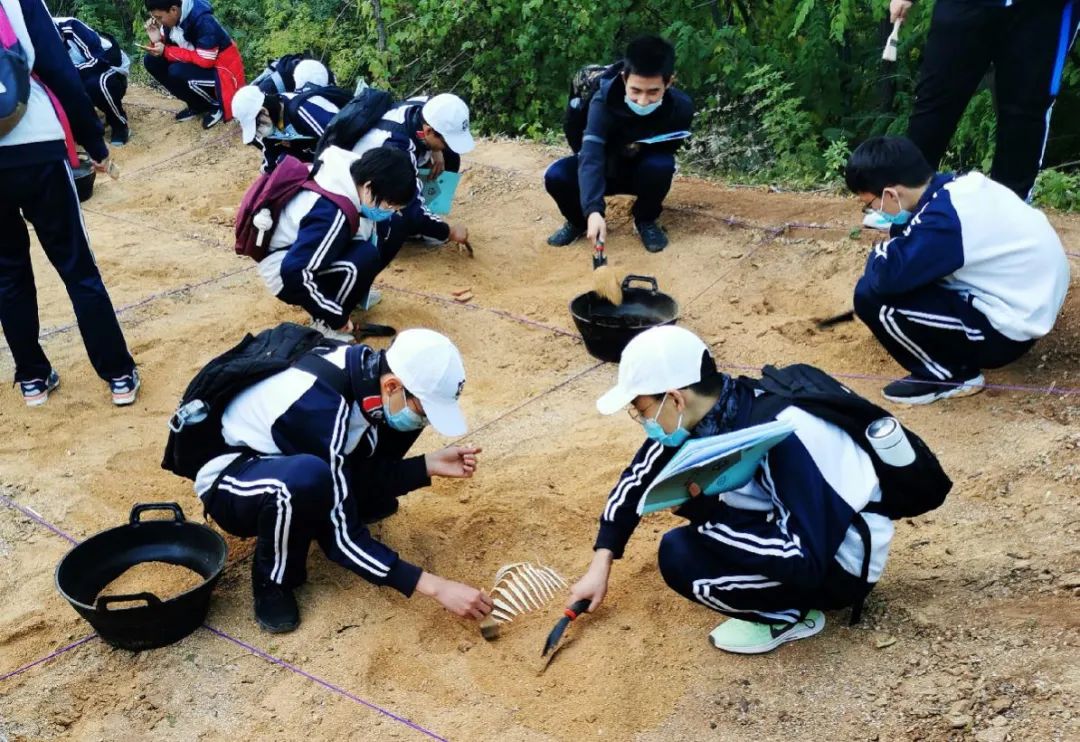 学生们在模拟考古现场细心挖掘