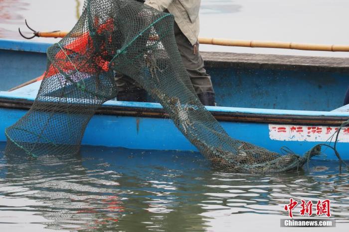 大闸蟹盛宴：七千企业苏州占一半 阳澄湖难满足吃货