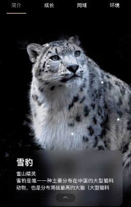 Ai知识图谱 让我撸到了一只 天山上的雪豹 Ai 新浪财经 新浪网 Ai知识图谱 让我撸到了一只 天山上的雪豹 Ai 新浪财经 新浪网