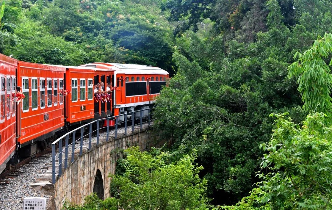 云南米轨小火车上新啦