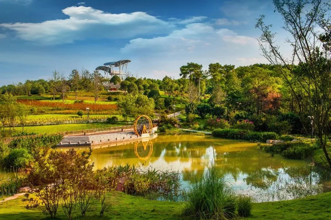 铁山坪森林公园&nbsp; 图:重庆日报