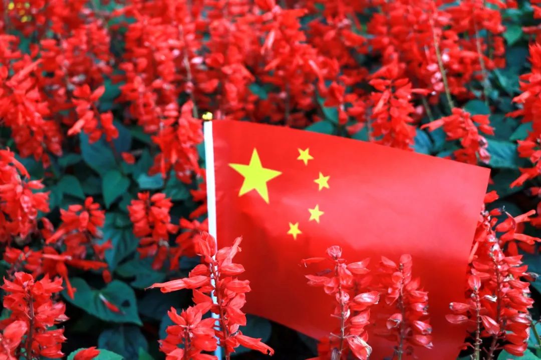 为国庆献礼 | 长理师生与国旗合影,深情表达对祖国的爱|长理_新浪新闻