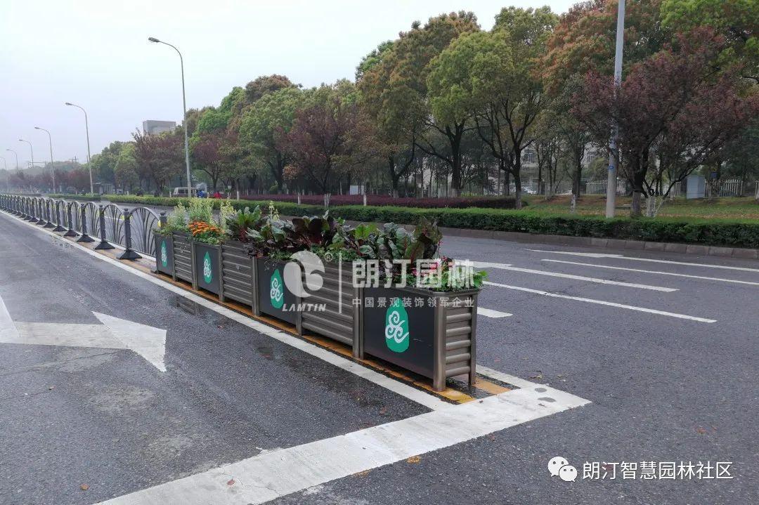 惊艳道路中央隔离带竟能这么美