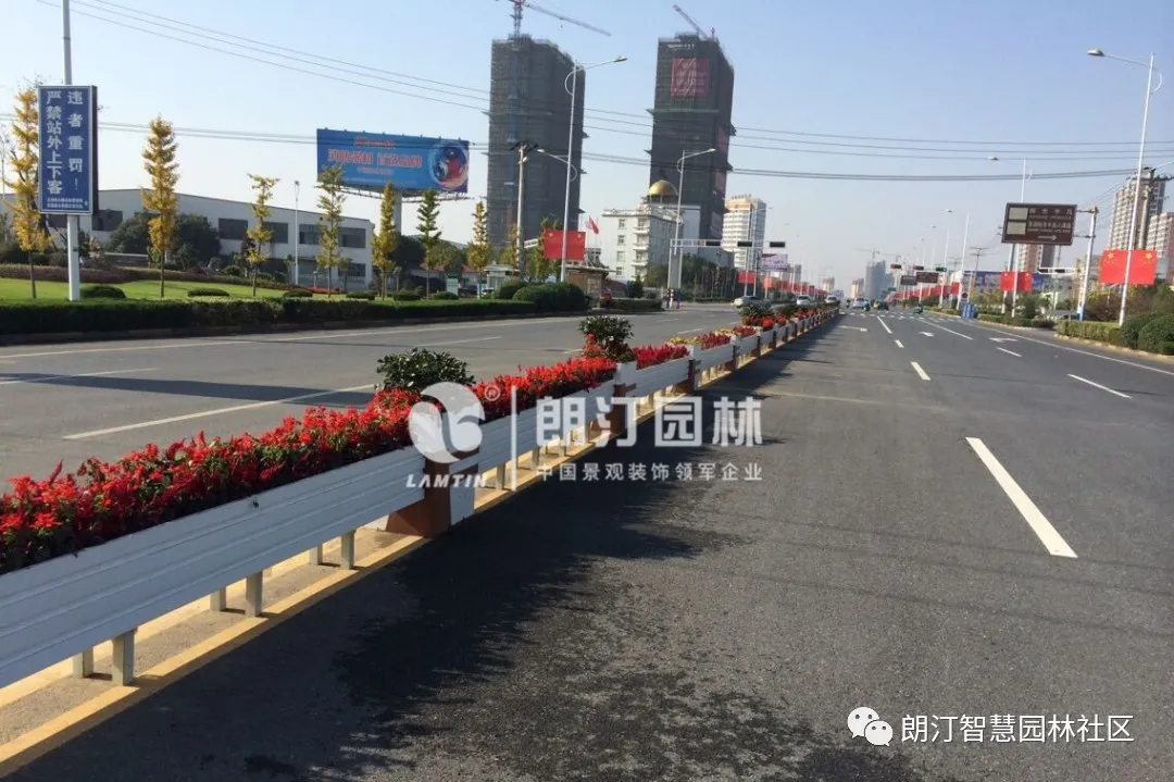 惊艳道路中央隔离带竟能这么美