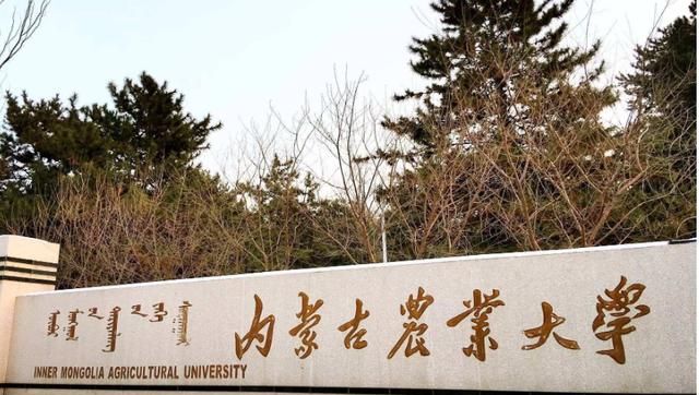2020全国大学排名一_瞩目!一份重量级高校排名发布,南京大学进入全国前(2)