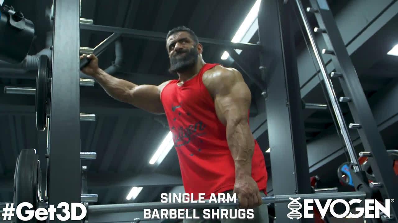 波斯狼哈迪的最新备赛腿部训练