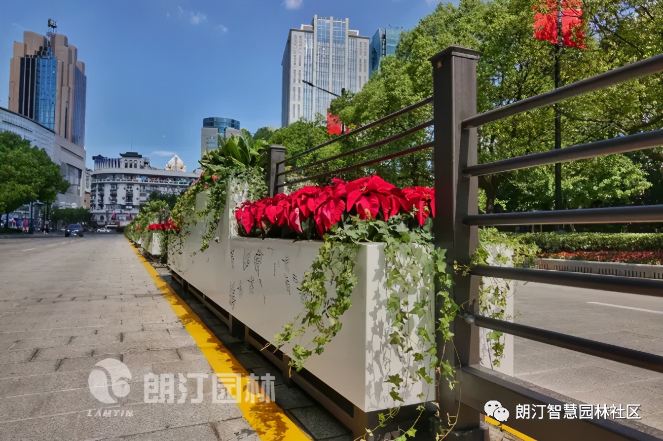 惊艳道路中央隔离带竟能这么美
