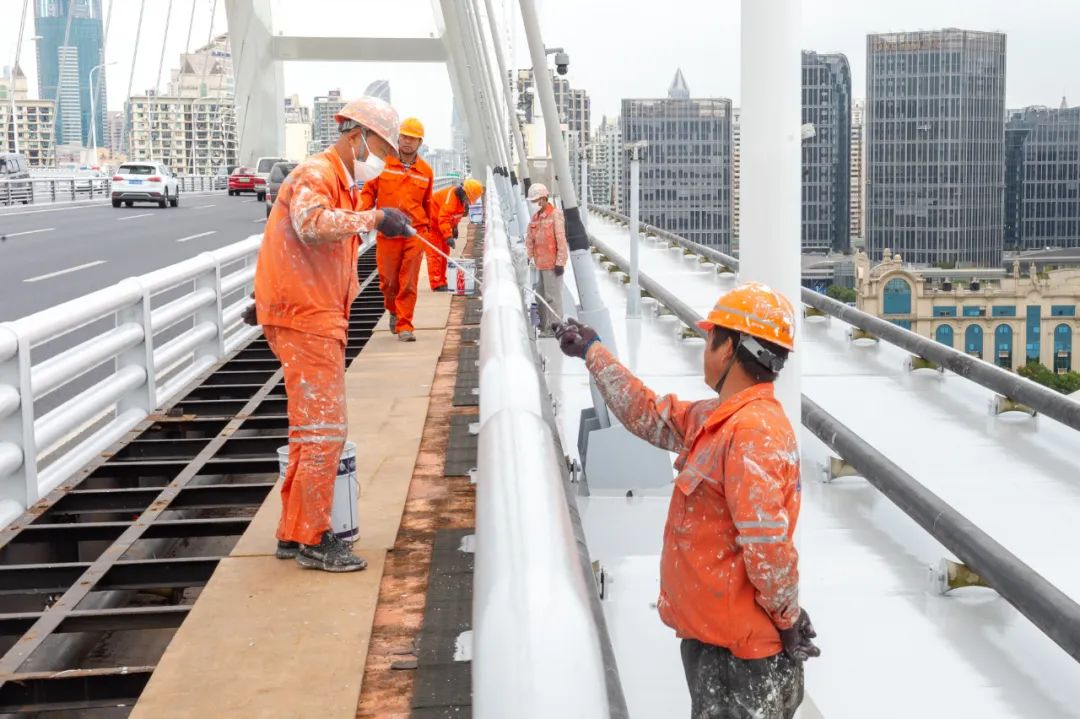 交通17岁的卢浦大桥悄悄化了个淡妆