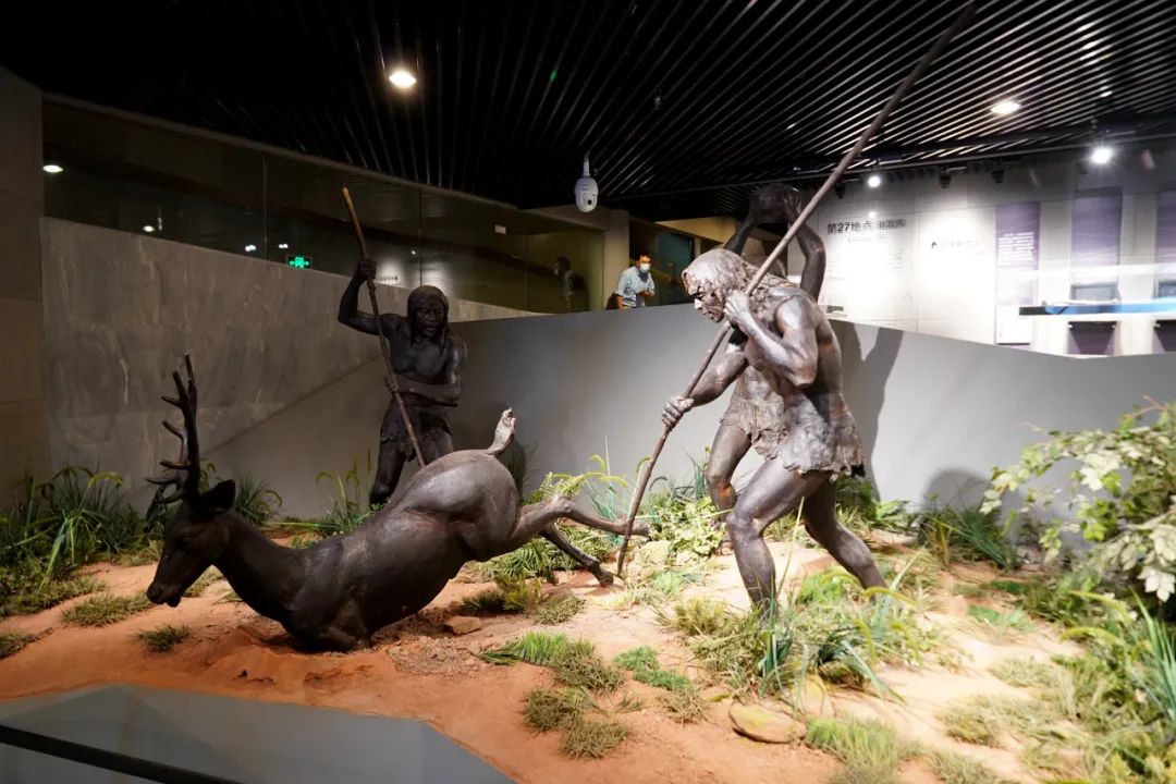 山顶洞人打猎场景了解了基本的情况,再去猿人遗址公园.