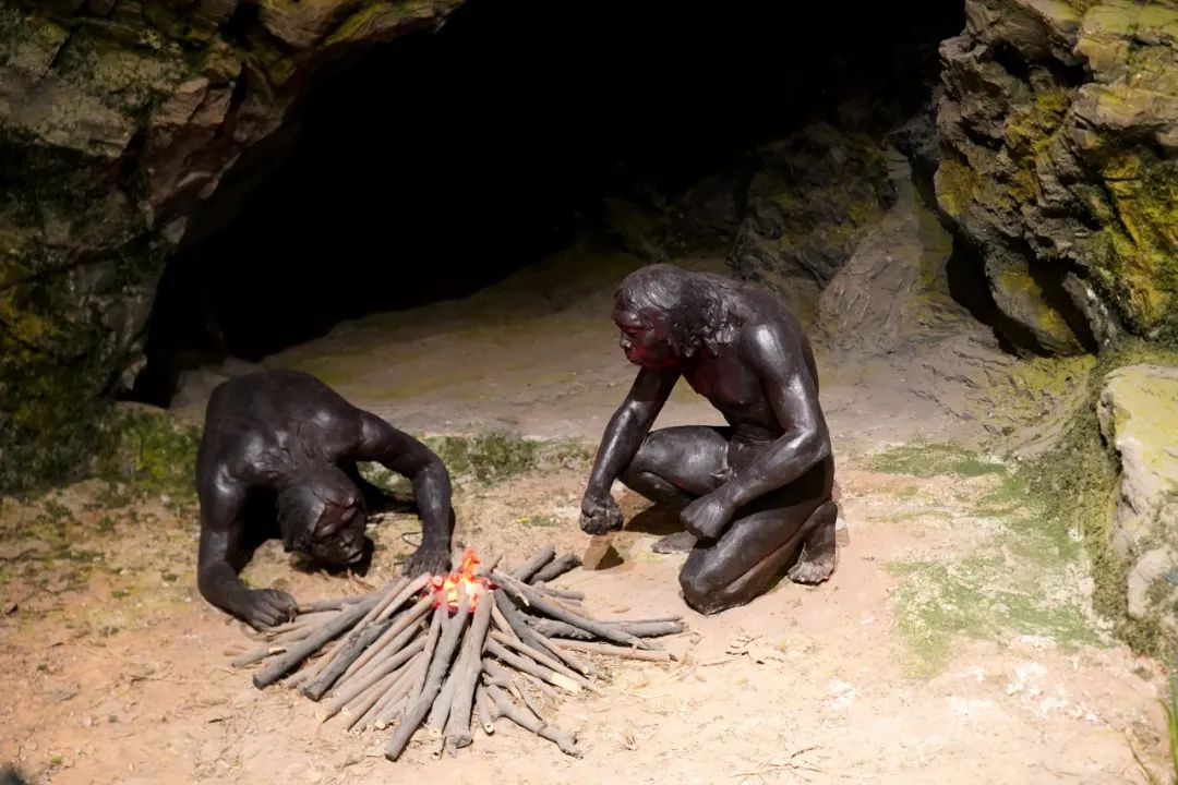 山顶洞人头盖骨山顶洞人打猎场景了解了基本的情况,再去猿人遗址公园