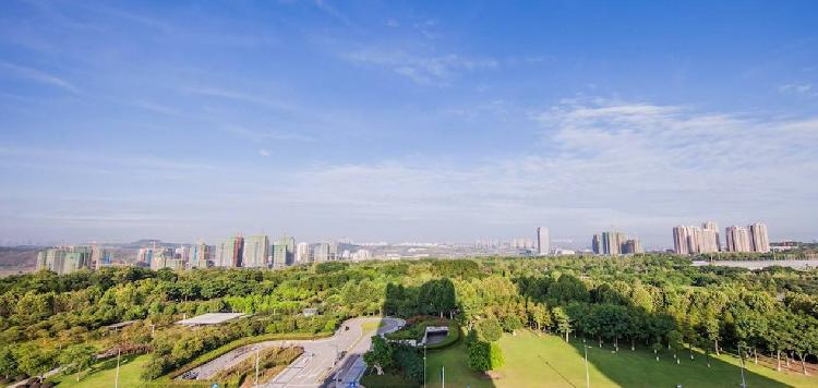 配套全面落地,中央公园迎来价值兑现“黄金时刻”|中央公园|新城|春山_新浪新闻