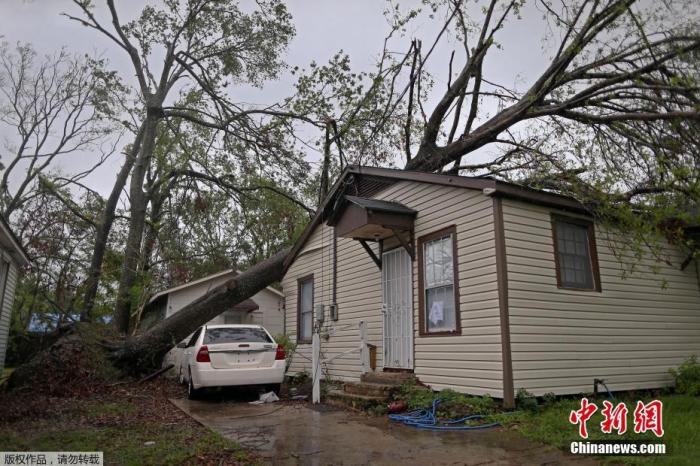 资料图：当地时间10月10日，美国路易斯安那州查尔斯湖的居民，遭受另一场飓风“德尔塔”袭击，树木倒塌压在房屋上，不少居民选择撤离。