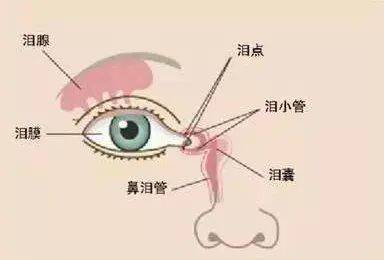 一个问题让你了解泪囊炎|泪囊炎|泪溢|鼻泪管阻塞_新浪新闻