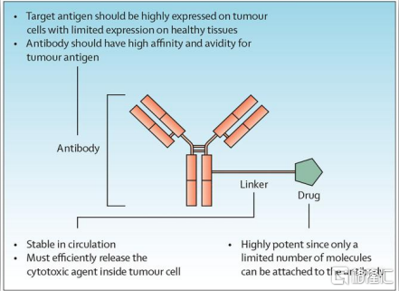 图表三:adc类药物结构示意图