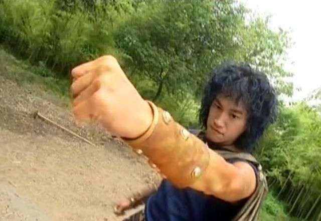 有一个疑惑,聂风家族世代遗传麒麟疯血,其先祖聂英更是曾经饮过麒麟血