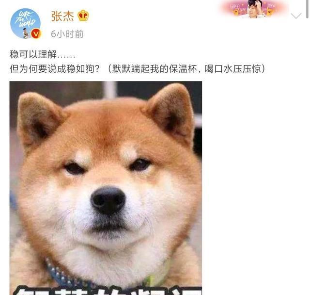 晚会现场数人翻车,张杰表现极好被夸稳如狗,他的回应太好玩了休闲区蓝鸢梦想 - Www.slyday.coM