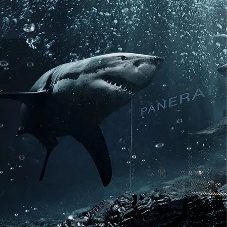 神级高手齐聚小镇，陶身体起舞“画圆”，这个秋天有你好看！休闲区蓝鸢梦想 - Www.slyday.coM